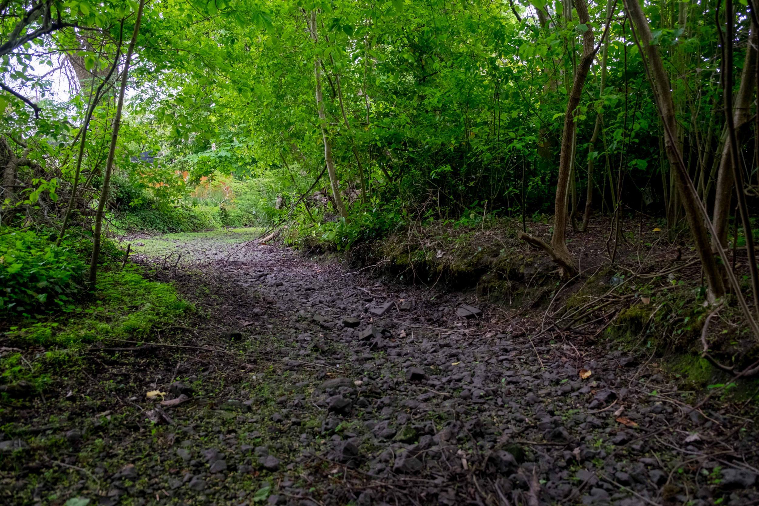 The River Chess in Hertfordshire looks more like a path