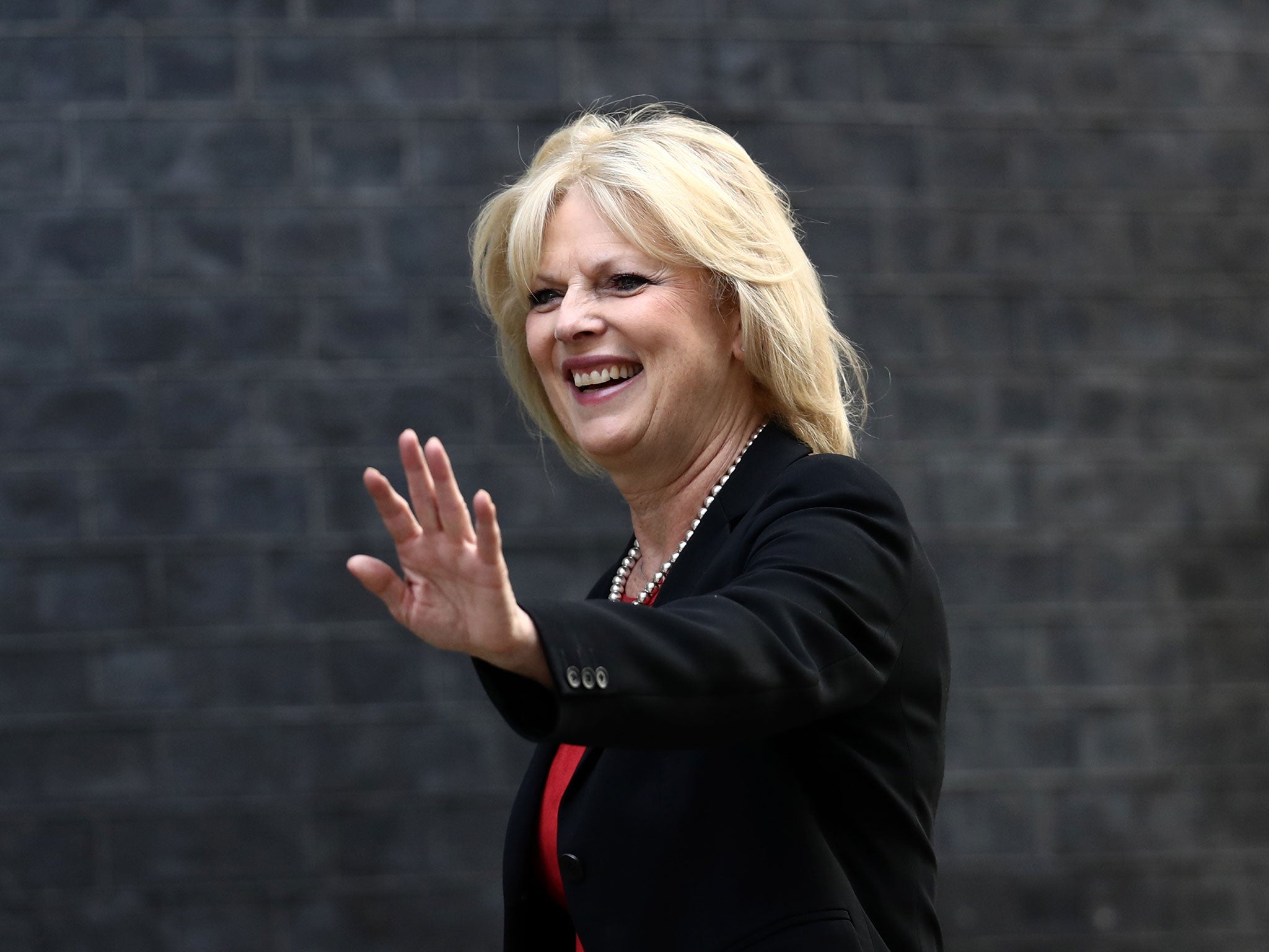 Anna Soubry said, ‘The people, not the hardline Brexiteers, are in charge’