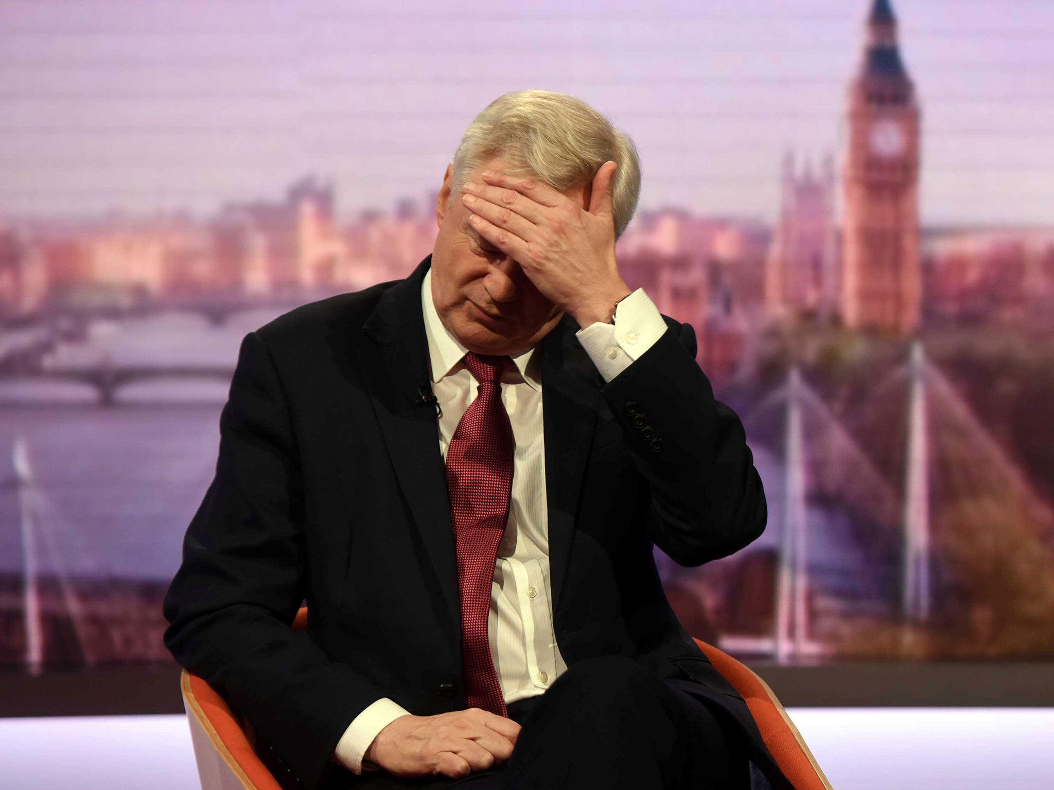 Brexit Secretary David Davis appears on the BBC's Andrew Marr Show