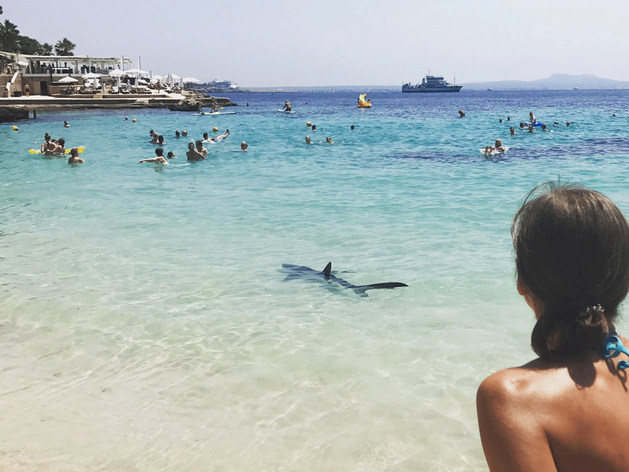 A blue shark is seen off the coast of Majorca