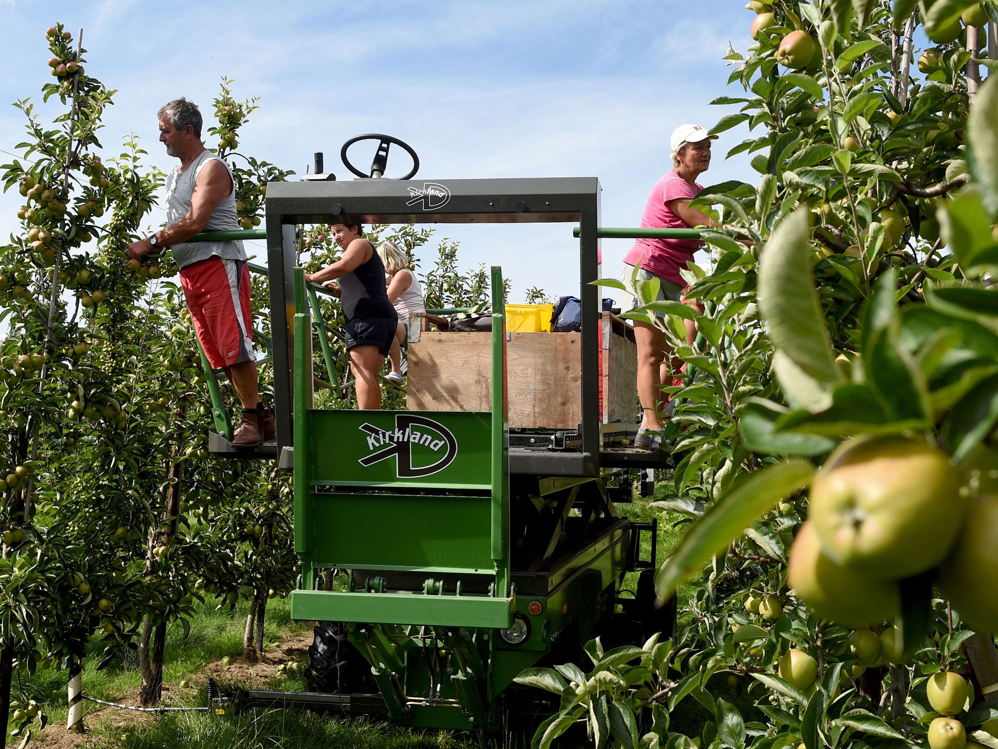 Around a fifth of the 2 million EU nationals working in Britain are employed food and drink supply chains