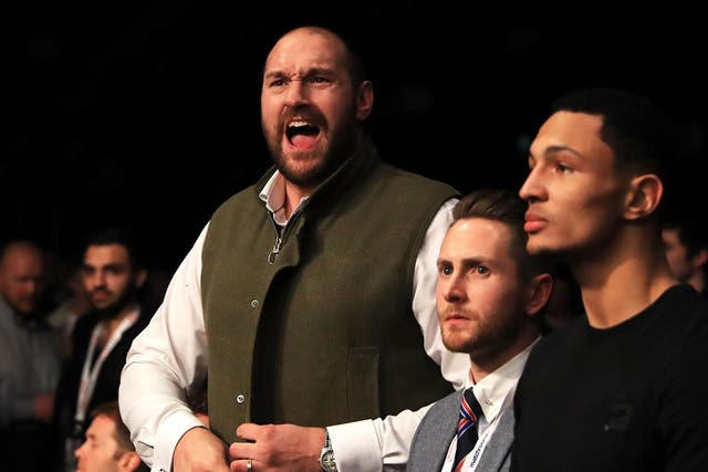 Tyson Fury has backed Conor McGregor to beat Floyd Mayweather