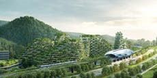 China is building a forest city of 40,000 trees that fights pollution