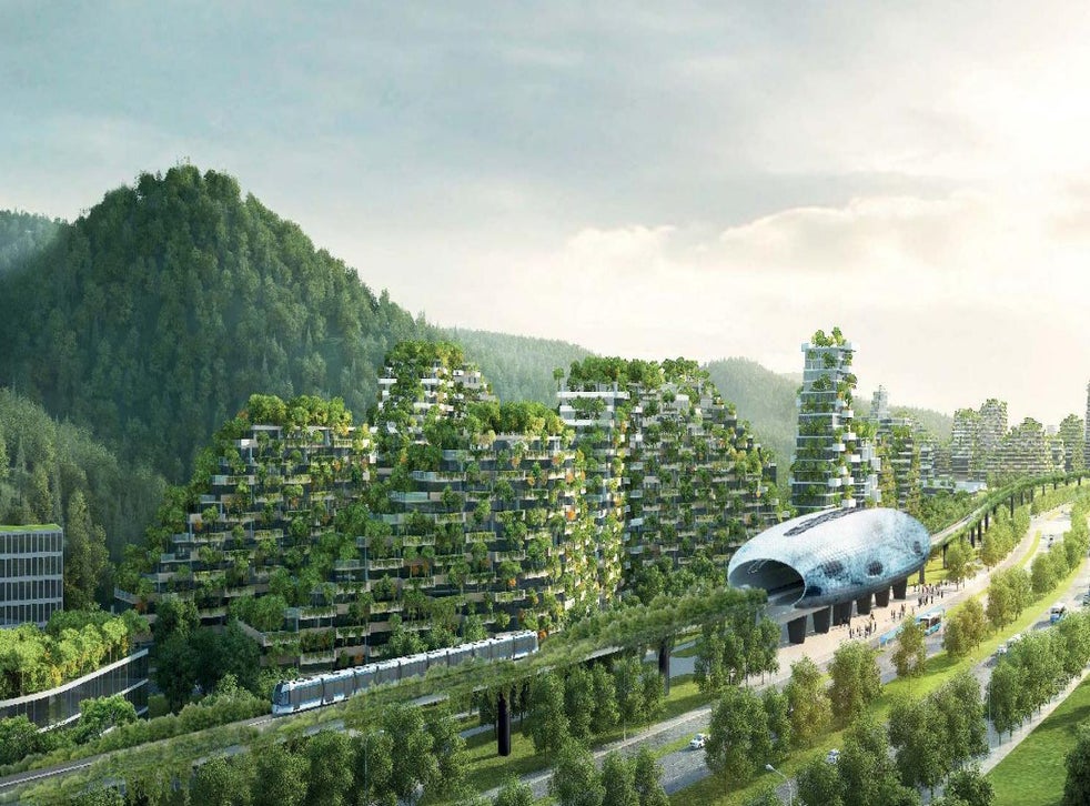 China is building first 'forest city' of 40,000 trees to fight air