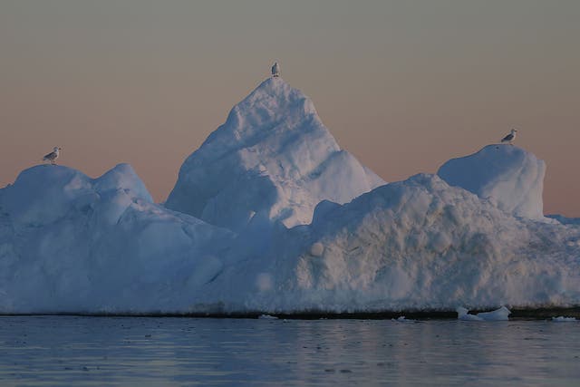 The iceberg will reportedly contain one trillion tons of ice