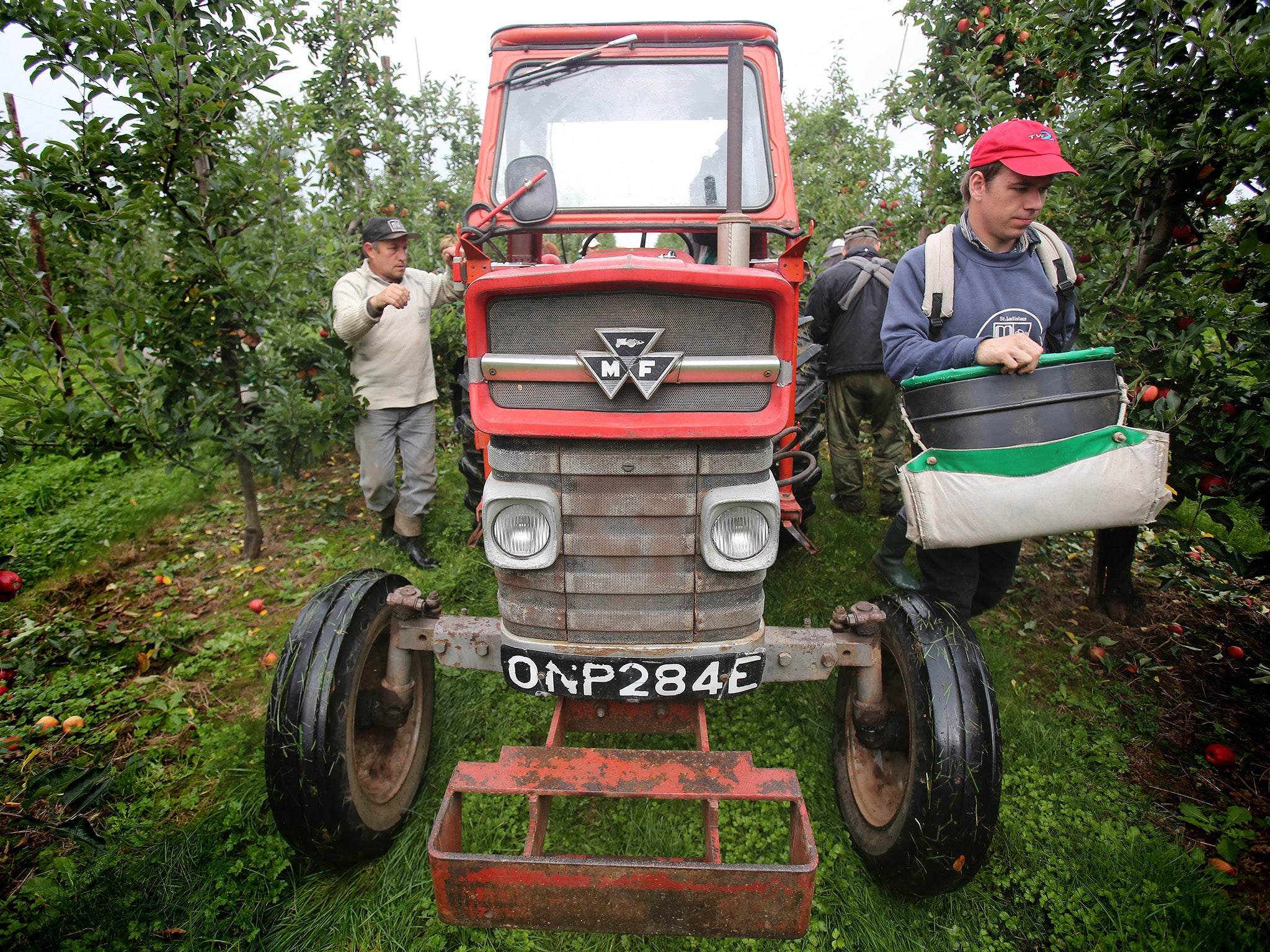 Local farmers stand accused at using seasonal workers from the EU to undercut locals (Getty)