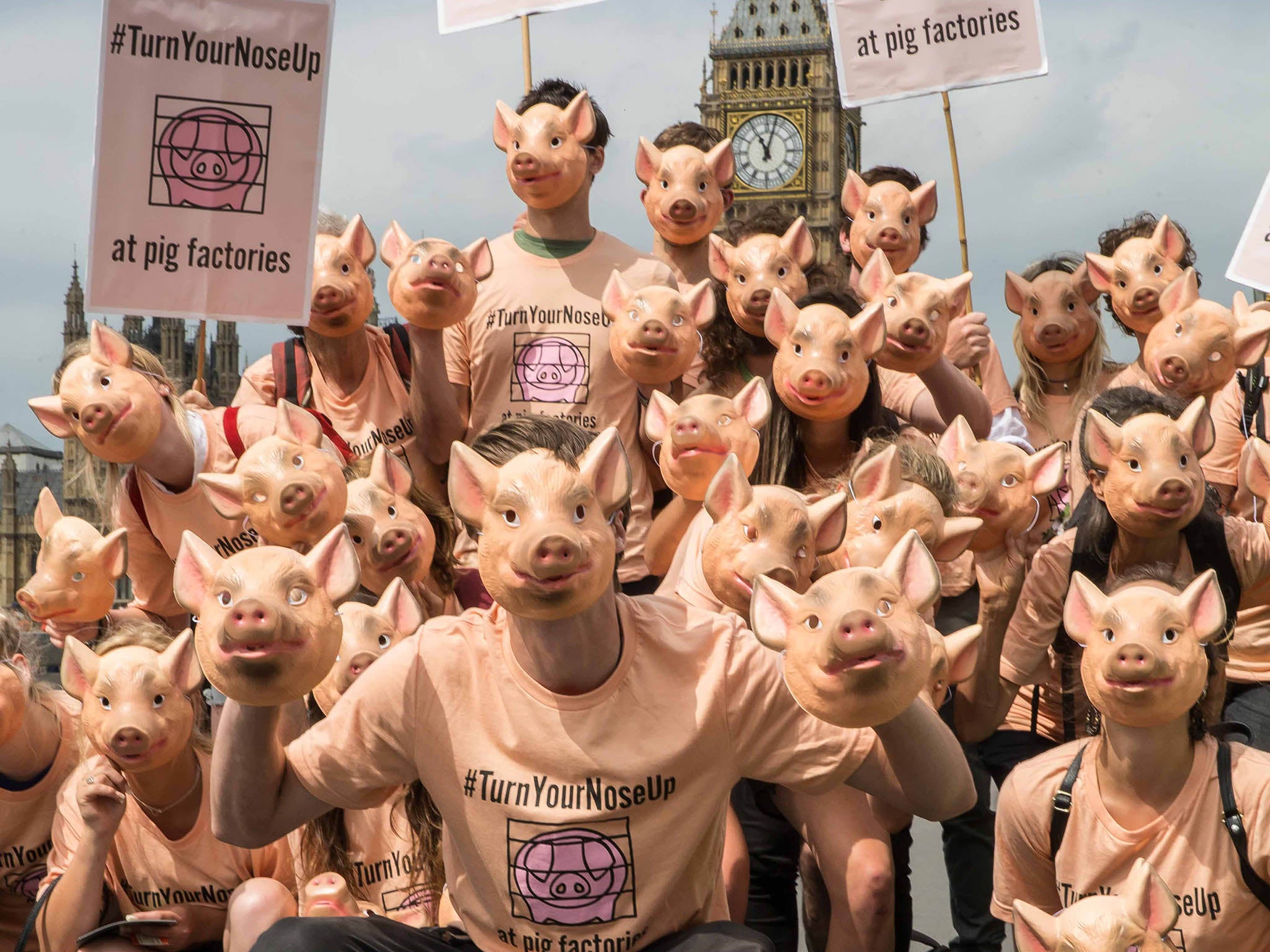 The Farms Not Factories campaign is using the #TurnYourNose up to raise awareness