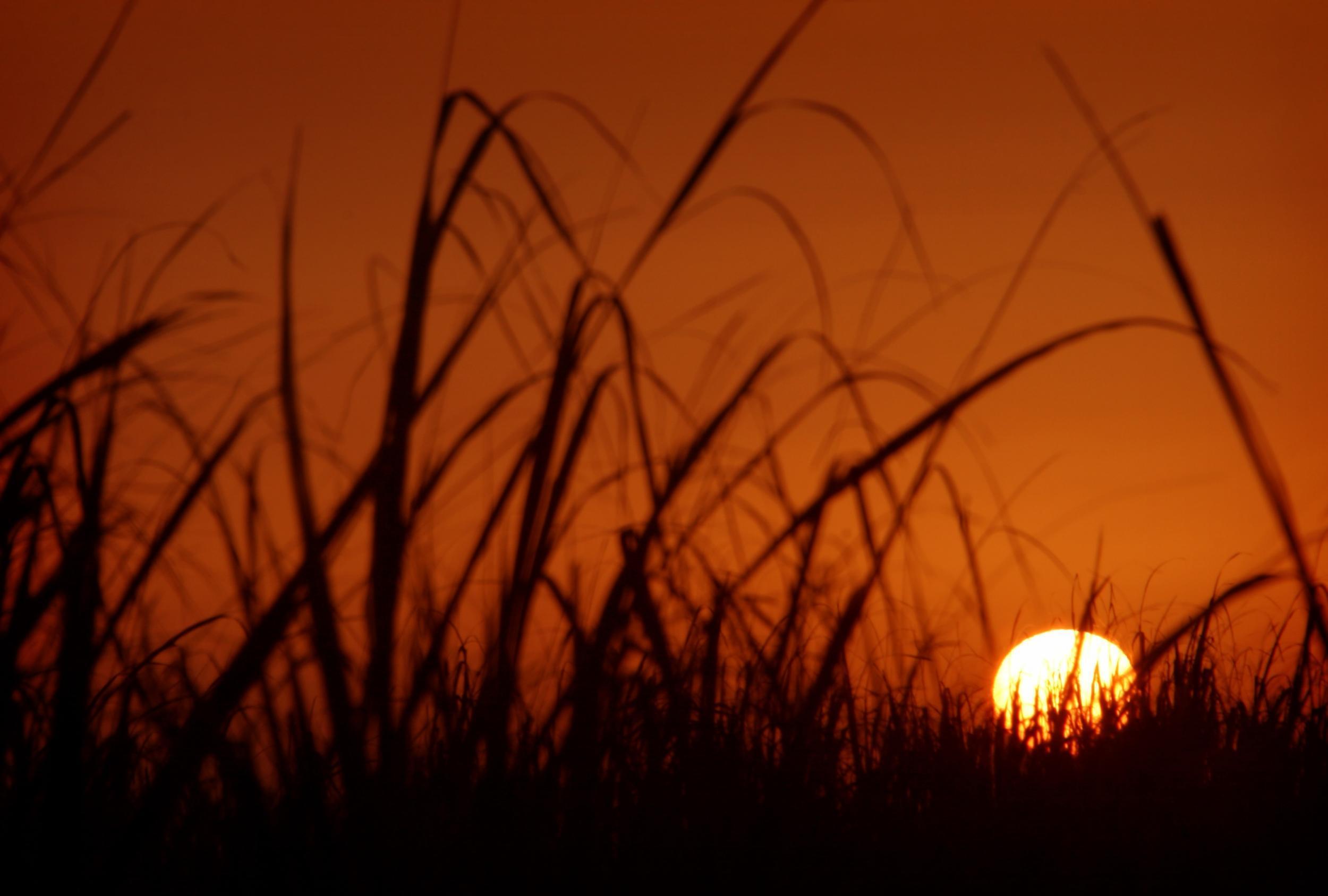 The sun rises over the Iranian city of Ahvaz which posted the hottest temperature ever recorded on Thursday