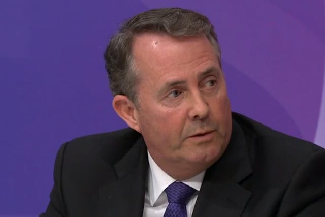 Liam Fox denied any split with the Chancellor over Brexit strategy