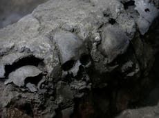 Tower of human skulls found by archaeologists in Mexico, throwing Aztec history into doubt