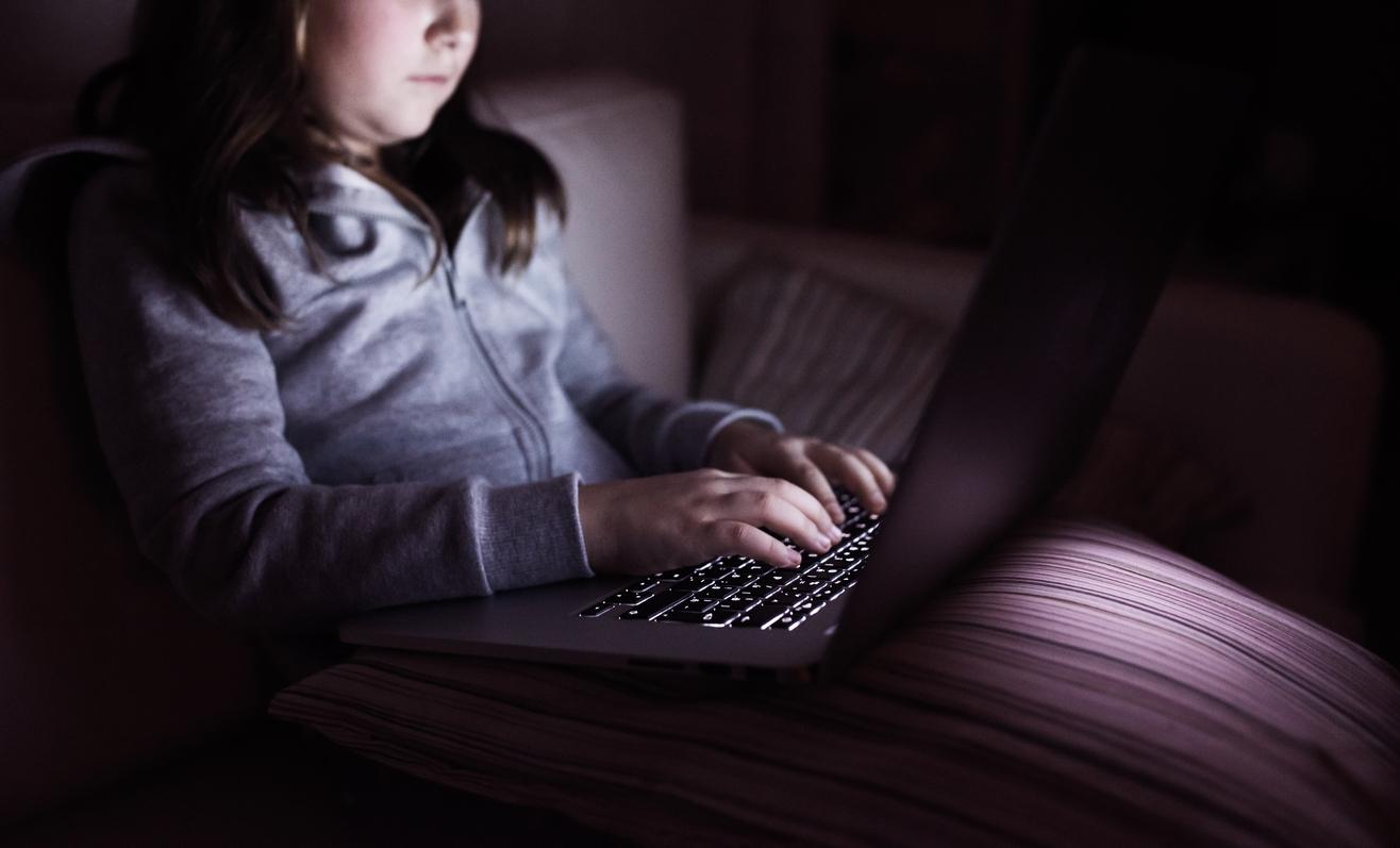 The NSPCC said online pornography could be detrimental to children's development