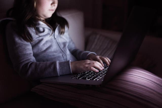 The NSPCC said online pornography could be detrimental to children's development