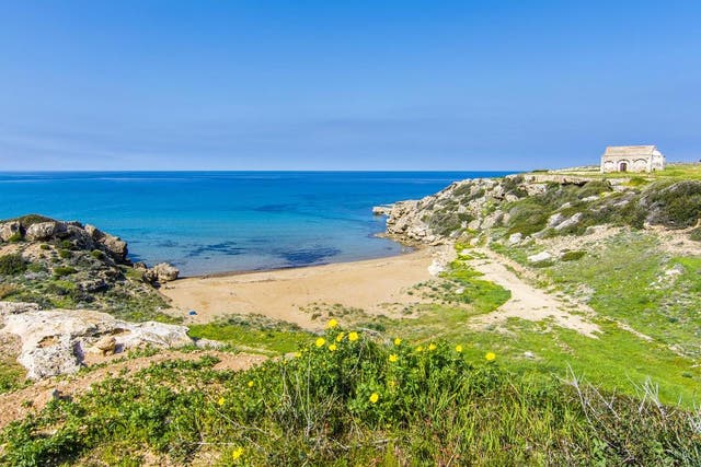 Cyprus has been one of Tui's stand-out destinations for summer bookings 
