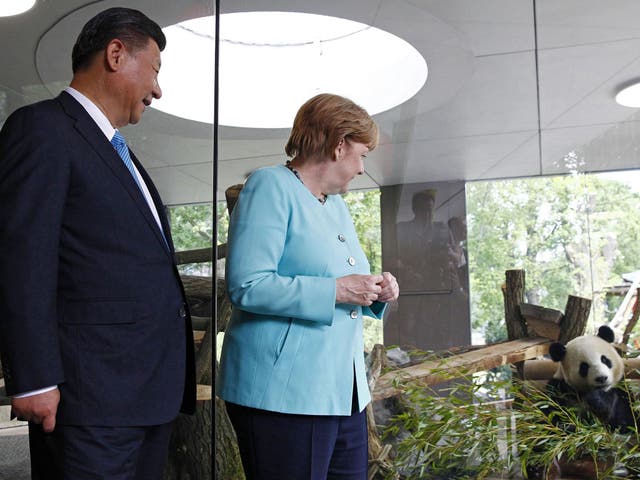 President Ji accompanied Ms Merkel to Berlin Zoo to visit the two pandas