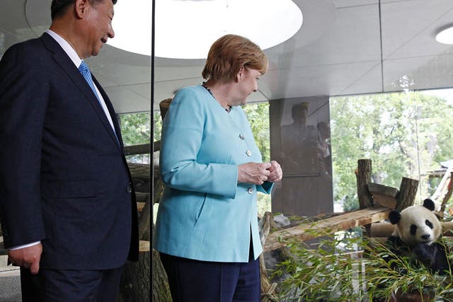President Ji accompanied Ms Merkel to Berlin Zoo to visit the two pandas