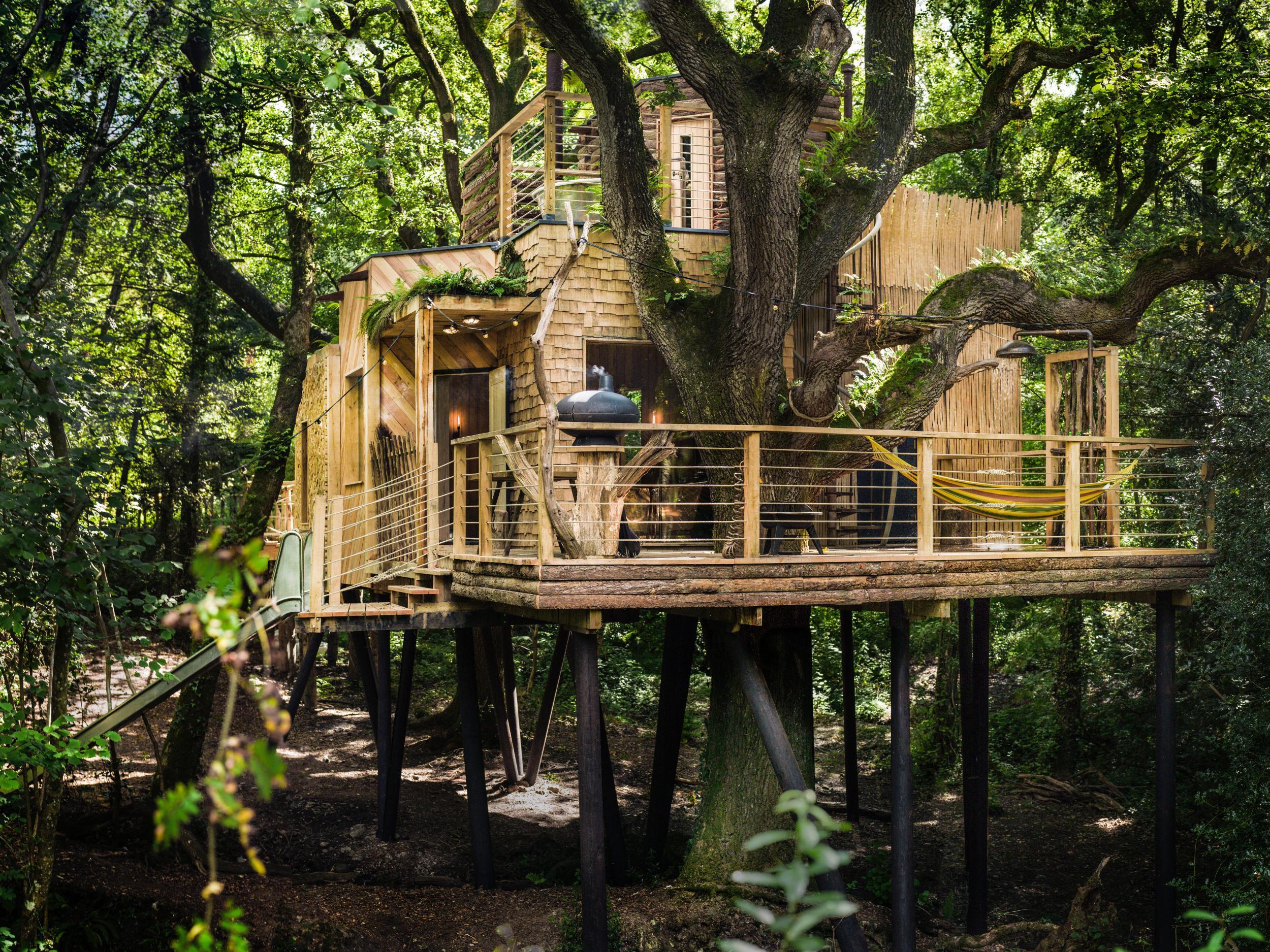 The Woodsman's Treehouse offers five-star comfort deep in the Dorset woods