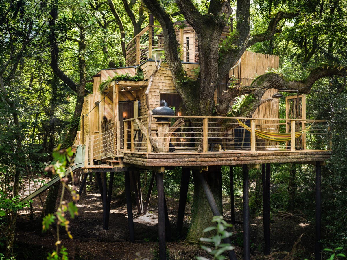 This treehouse cost £150,000 to build and it’s worth every penny