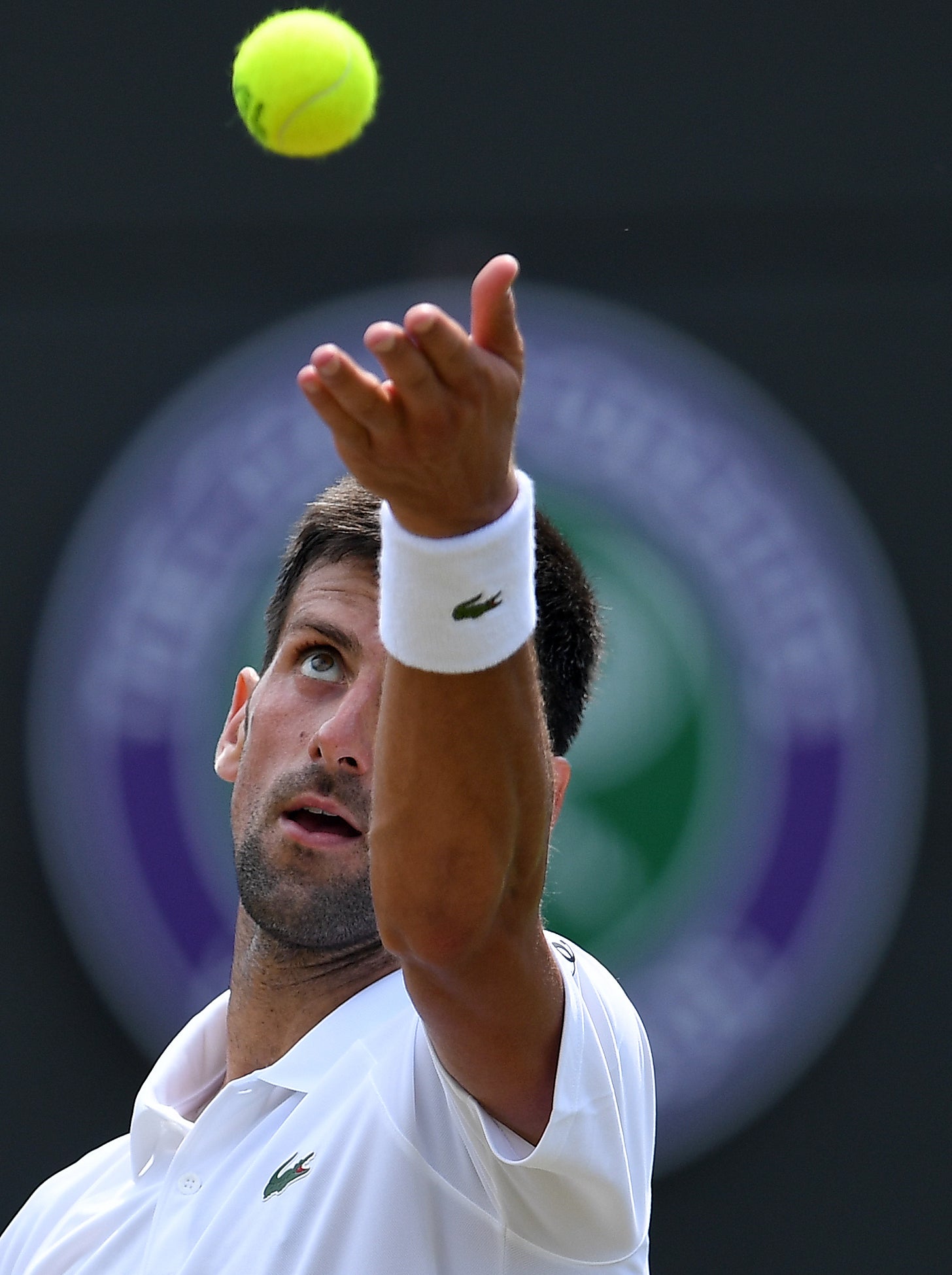 Djokovic is showing signs of returning to his best