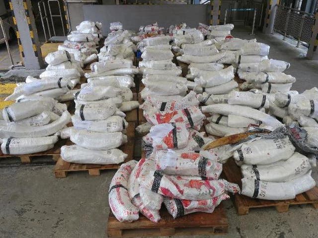 'About' 7.2 tonnes of the tusks were found and confiscated at the dock