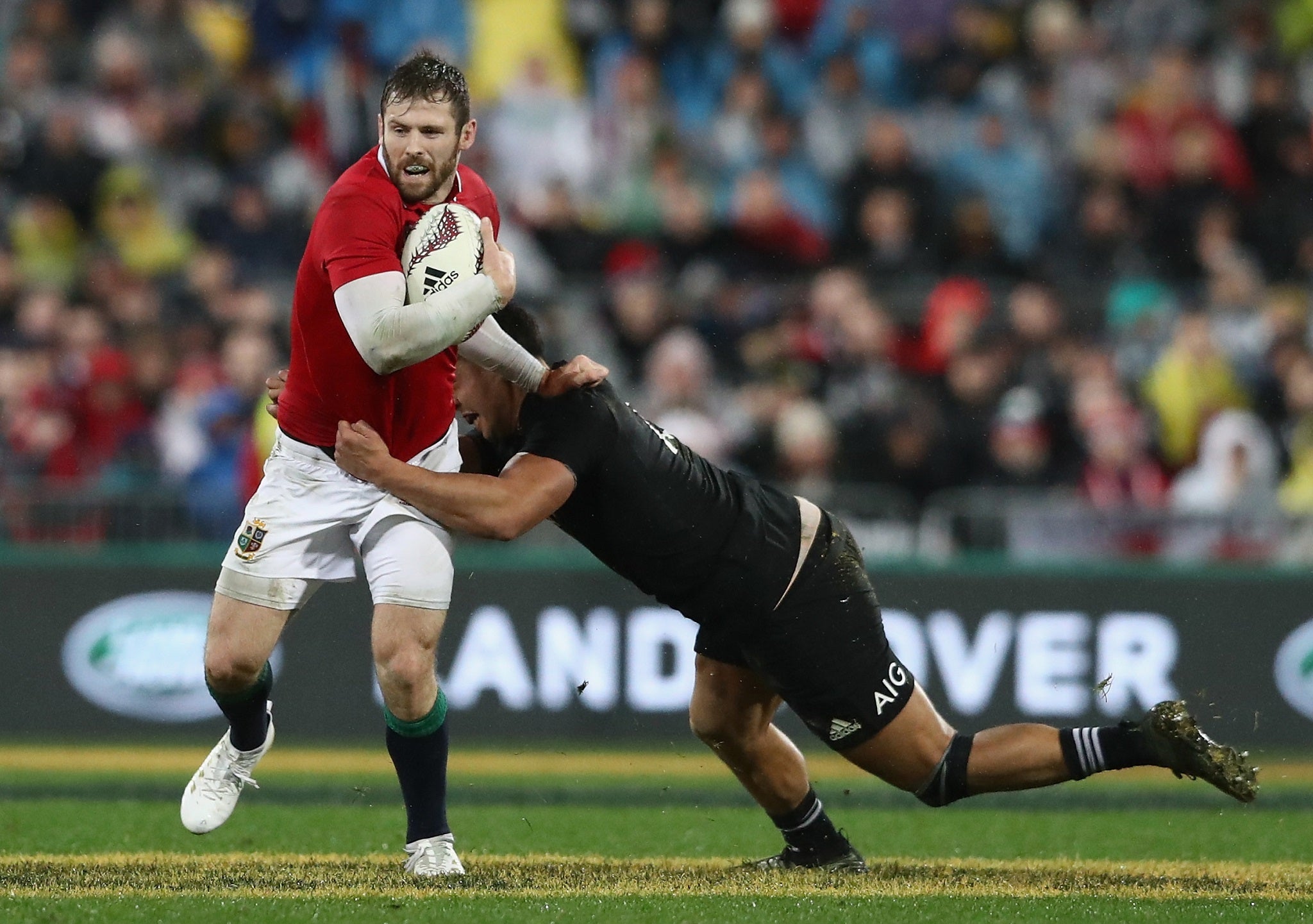 Daly believes the Lions have a lot more to improve on than the All Blacks