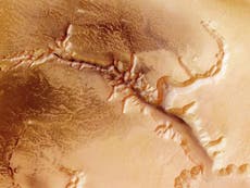 Mars is covered in toxic chemicals that kill everything