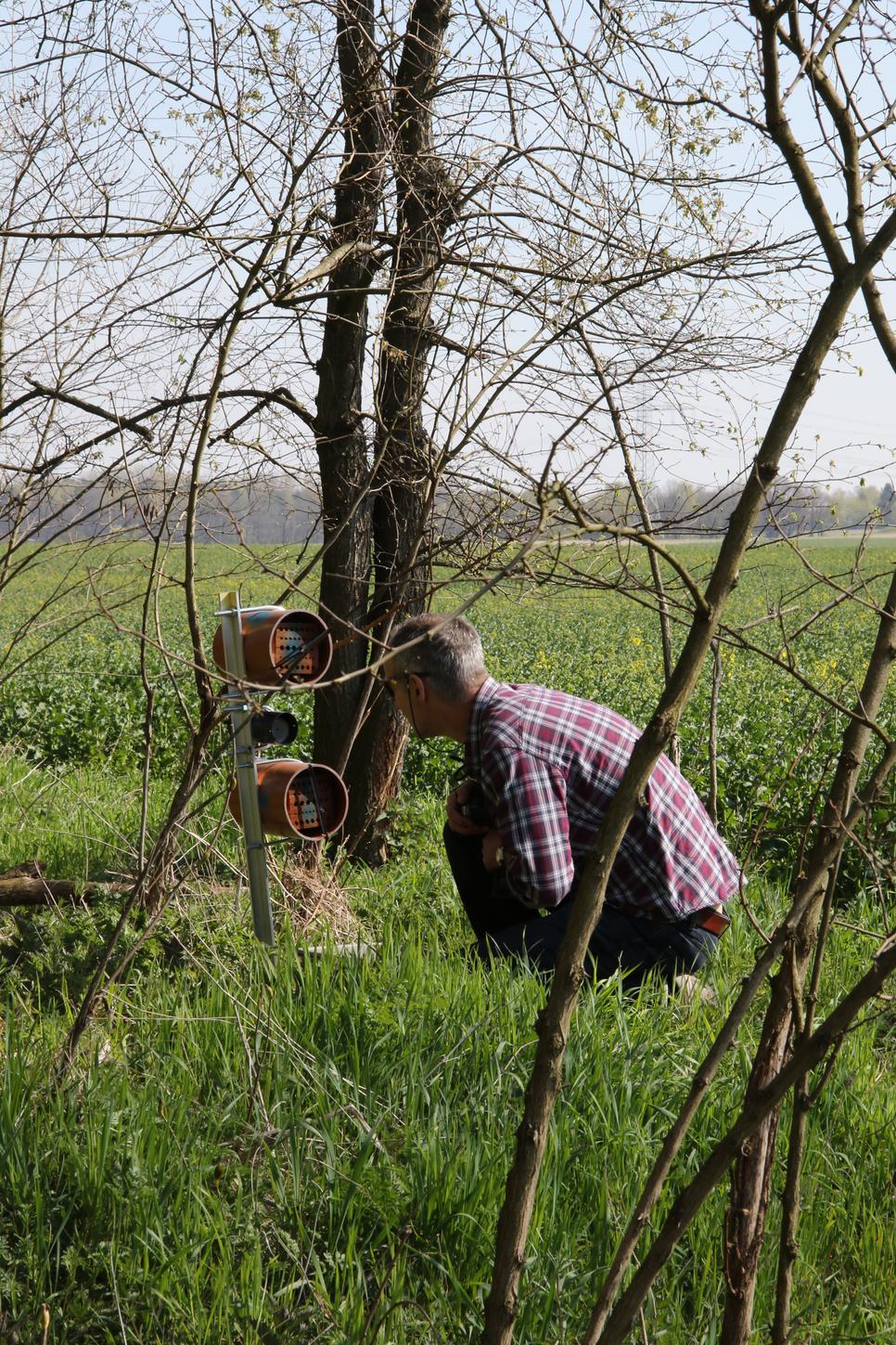 Bee inspection, Germany