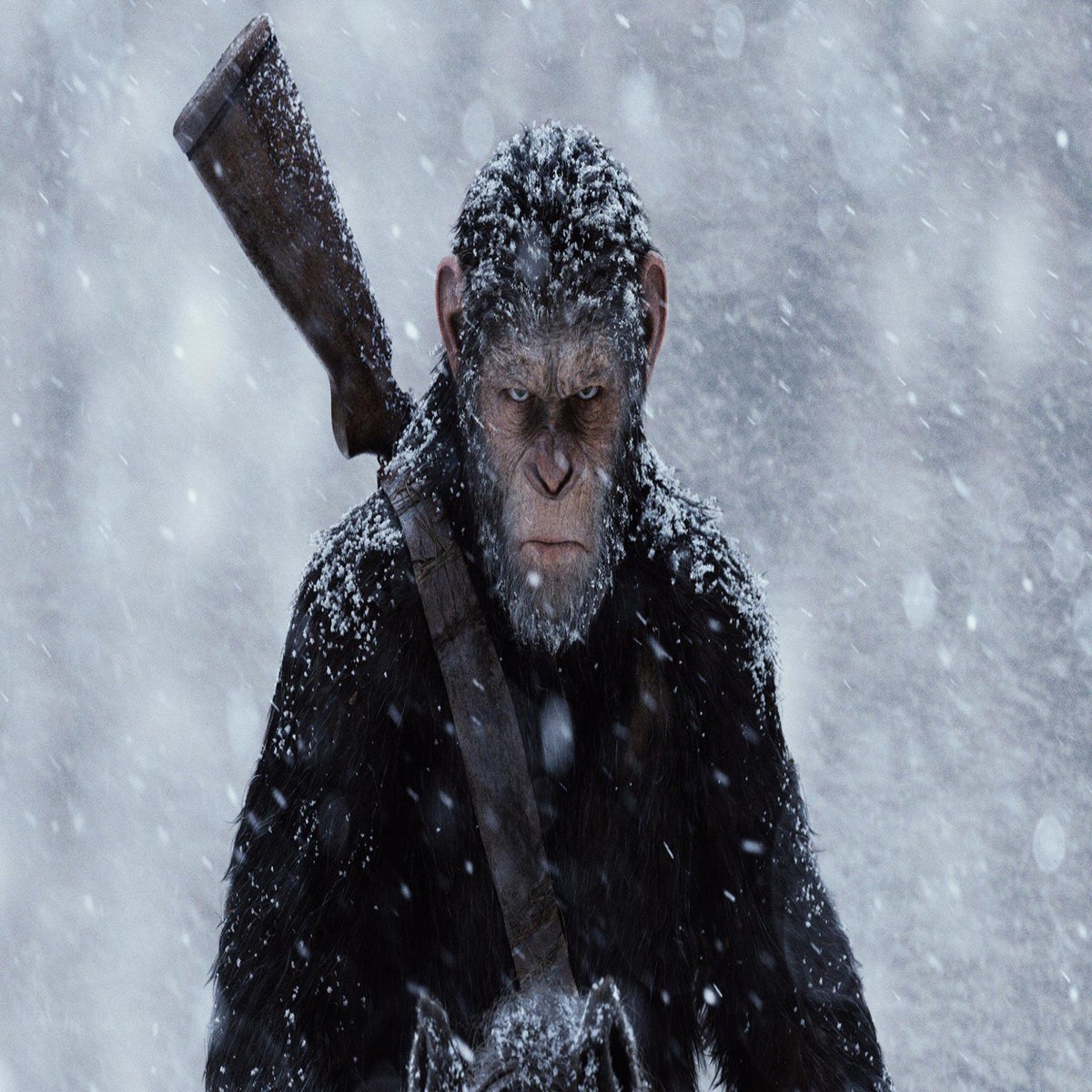 War for the Planet of the Apes review: The best franchise film in recent  memory | The Independent | The Independent