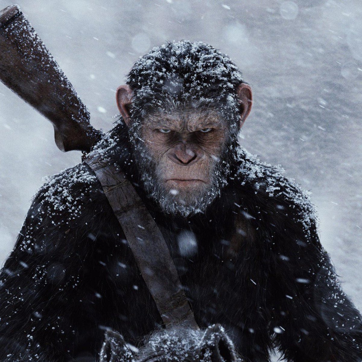 Andy Serkis: the War for the Planet of the Apes star on how performance capture is 'the end of typecasting' | The Independent | The Independent
