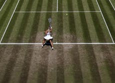 Wimbledon’s head groundsman defends condition of the courts