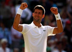 Djokovic rediscovers some of his old confidence with win over Gulbis