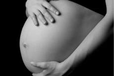 Womb transplants make unisex pregnancy possible, expert says