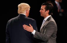 What happened between Donald Trump Jr and the Russian lawyer?