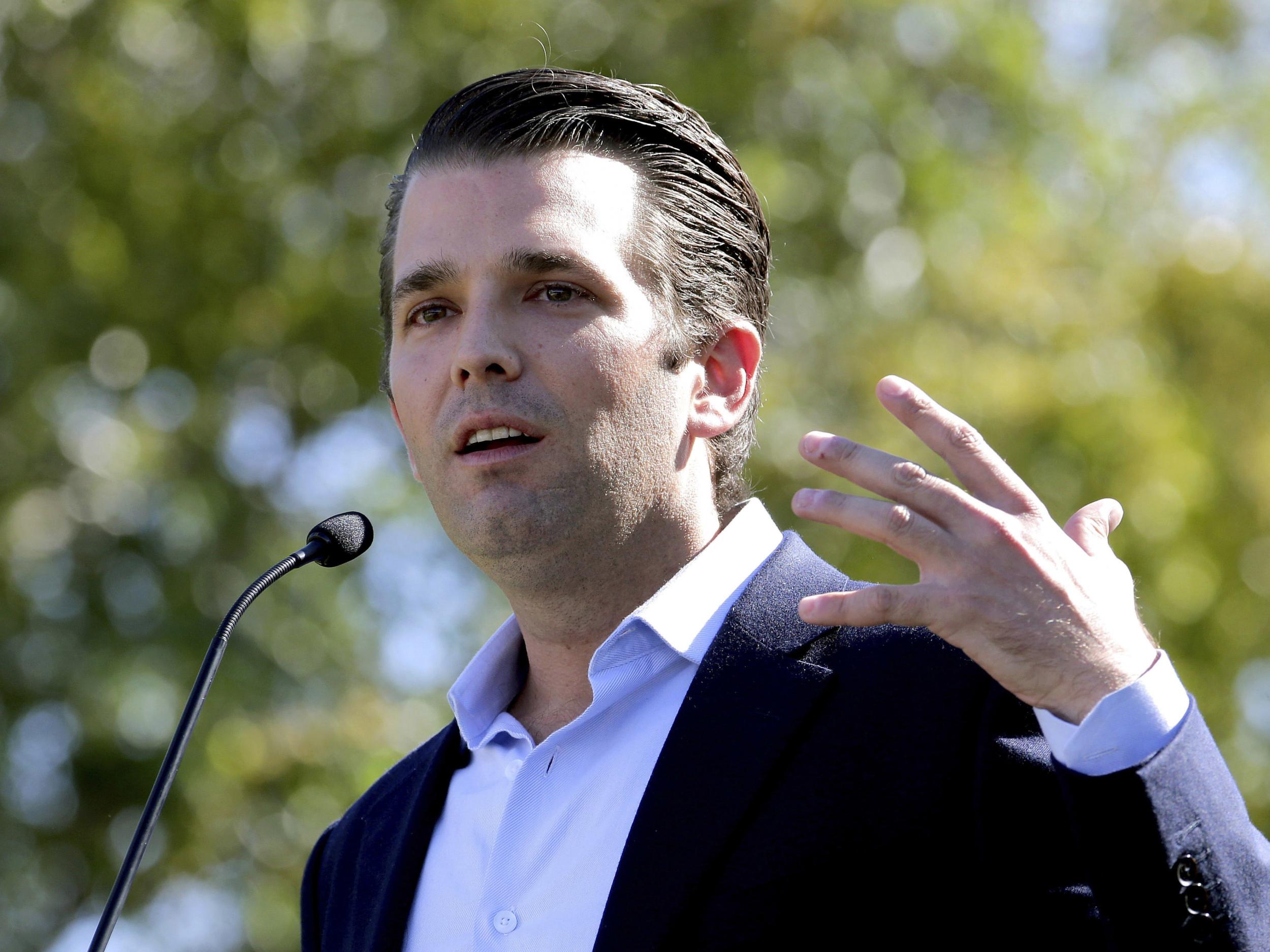 Donald Trump Jr is under fire for meeting with a 'Russian government lawyer'