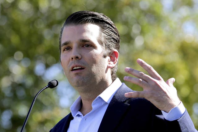 Donald Trump Jr is under fire for meeting with a 'Russian government lawyer' 
