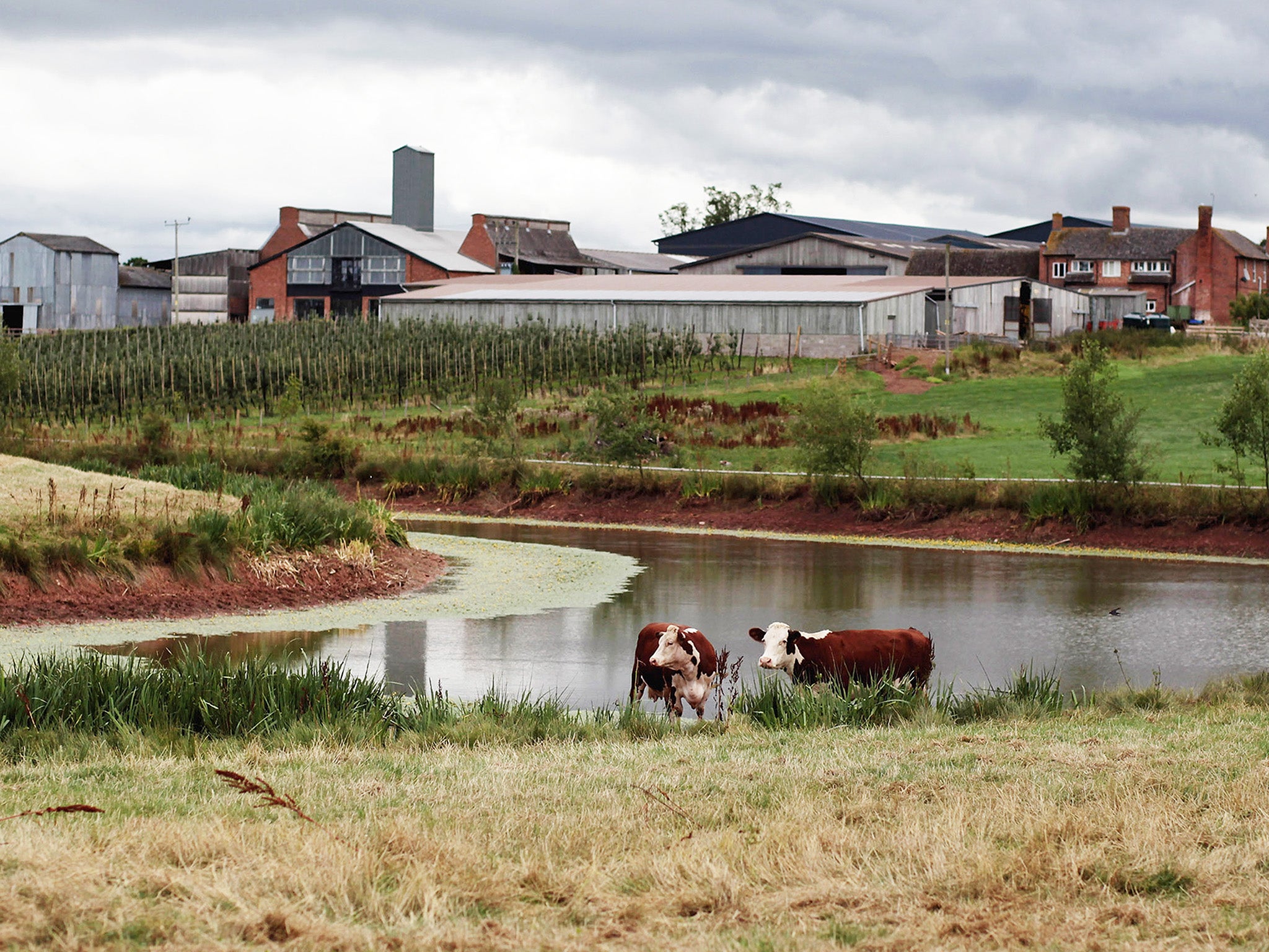 Function over form: much of the countryside serves a purpose