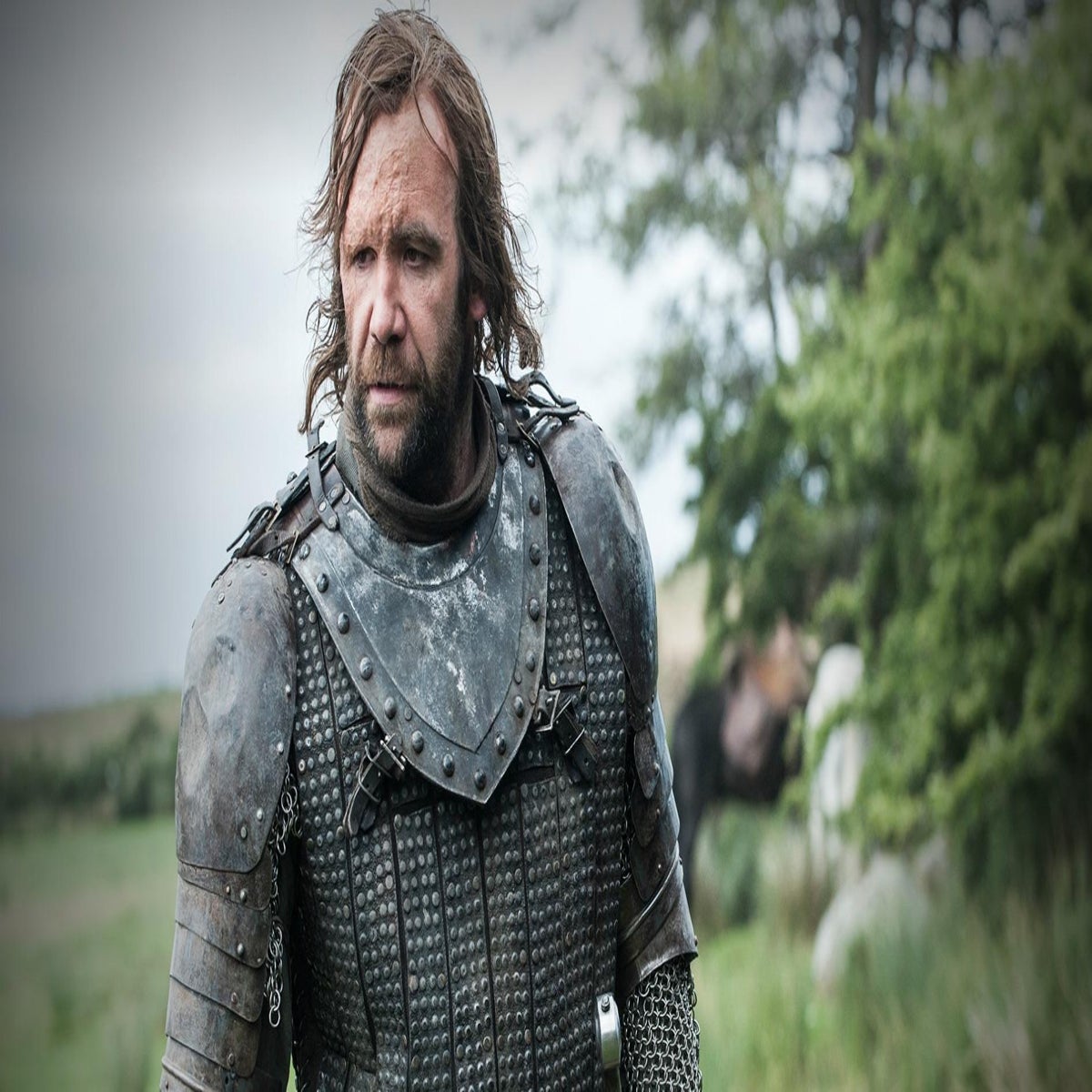 ONLY SANDOR  Game of thrones jaime, Game of thrones tv, The hound