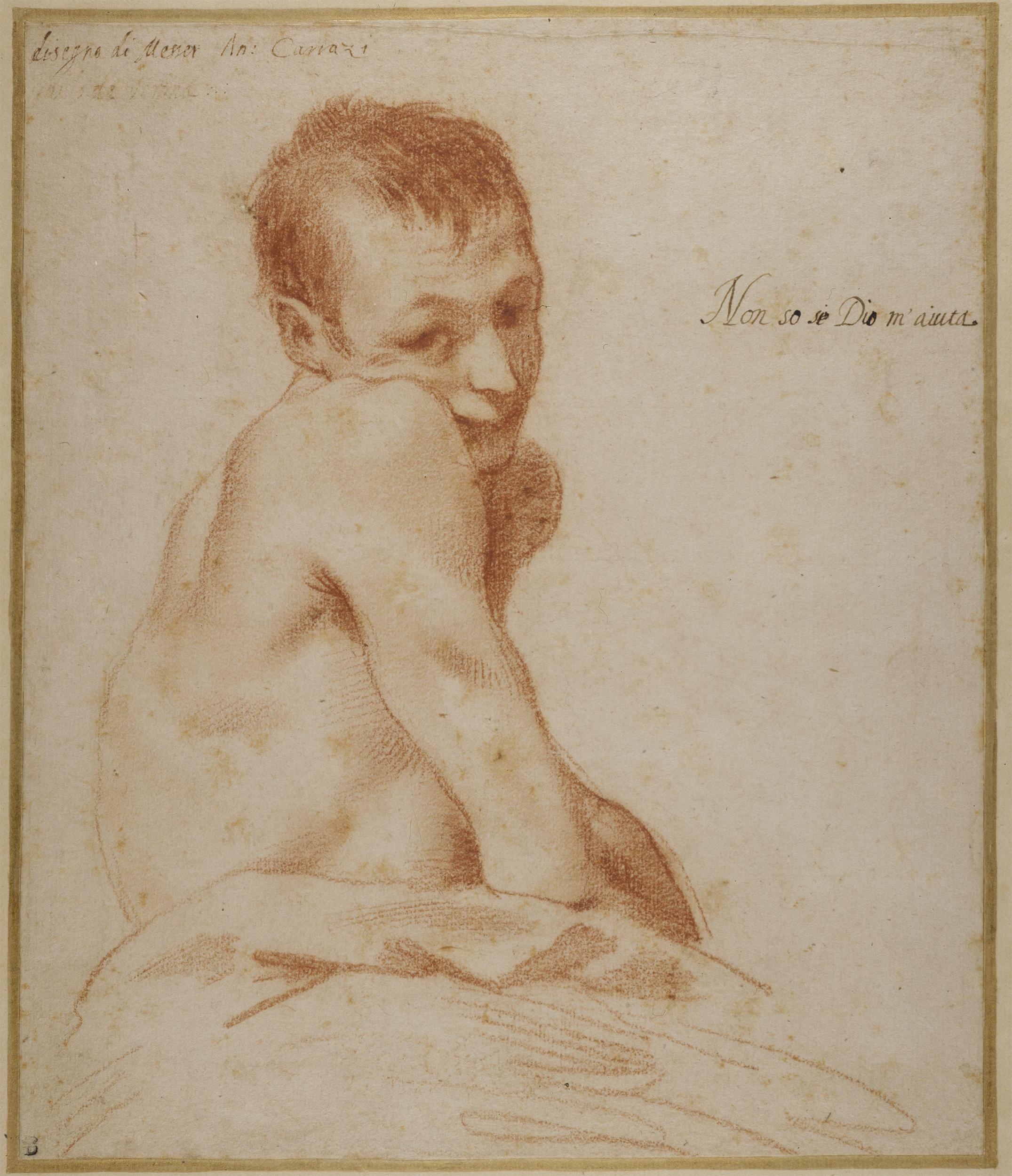 Study of a Young Man, mid 1580s, Annibale Carracci (Trustees of the Chatsworth Settlement © Devonshire Collection )