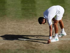 Djokovic joins growing condemnation of state of Wimbledon courts