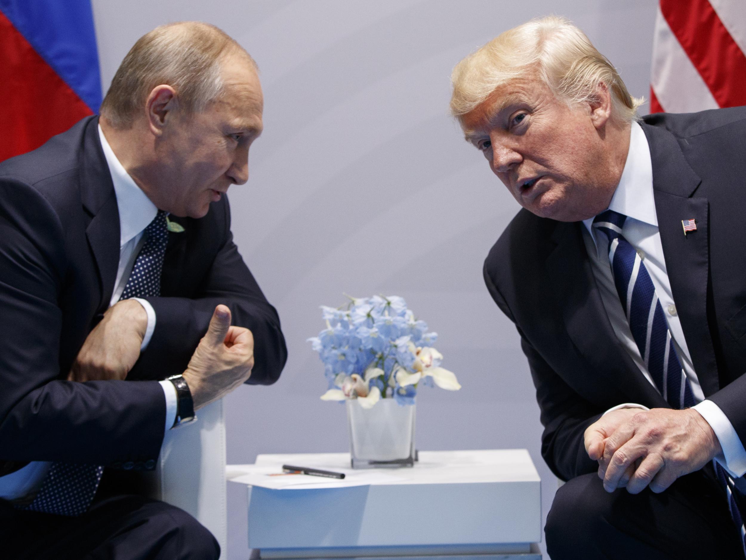 US President Donald Trump and Russian President Vladimir Putin announced a jointly-brokered truce in the south of the war-torn country on 8 July at the G20 conference in Hamburg