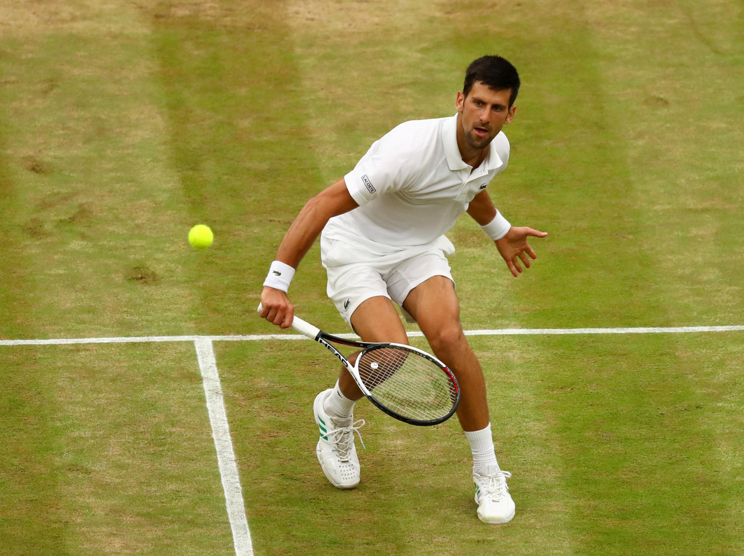 Novak Djokovic vs Tomas Berdych, Wimbledon quarter-final live Can former World No 1 make it into the semis? The Independent The Independent
