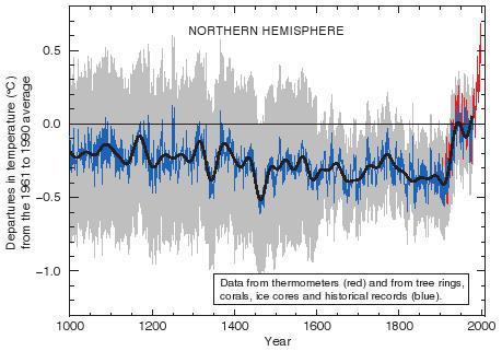 The original 'hockey stick' graph, published in 1998, showed the global average temperature remains about the same from 1,000 years ago until a sharp rise in the 20th century