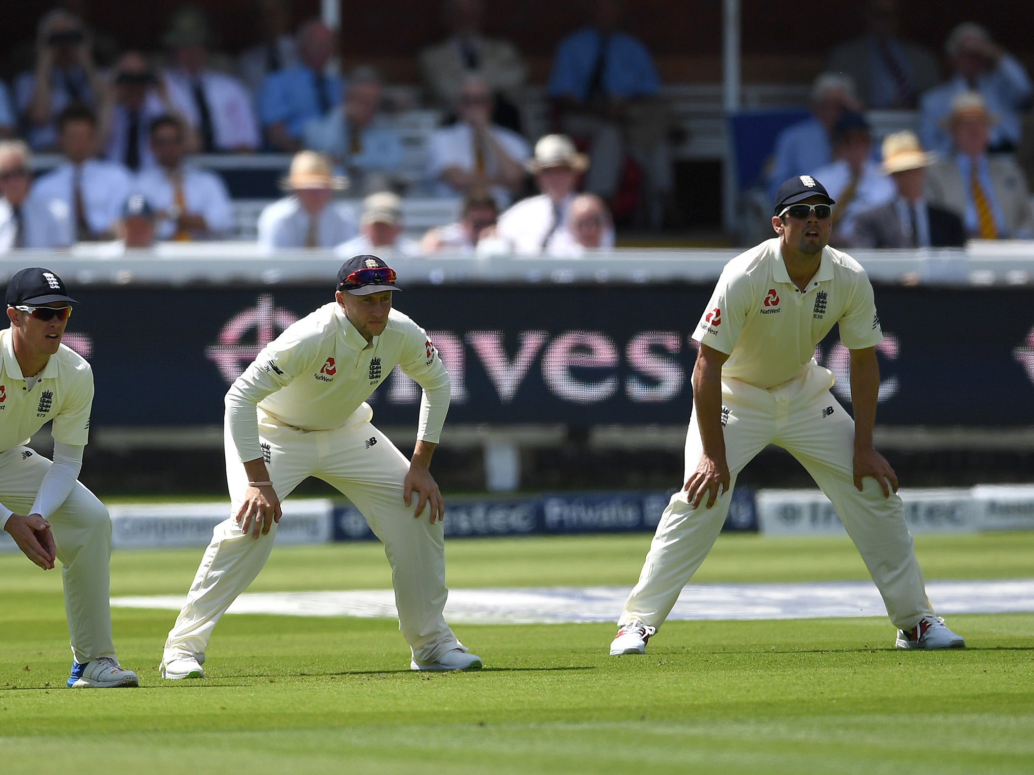 Cook and Root's conversations are 'no different'