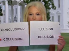 Kellyanne Conway holds up paper signs in bizarre Fox News interview