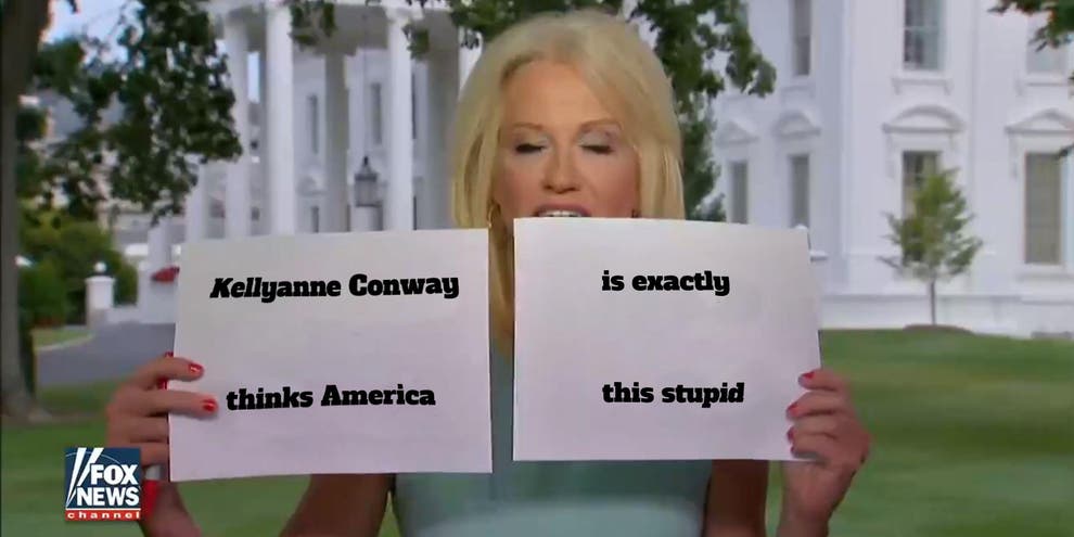 Kellyanne Conway Held Up Bizarre Signs To Defend Donald Trump And A