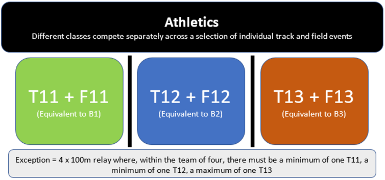Organisation of VI athletics
