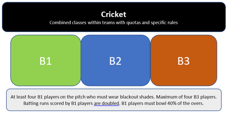Organisation of VI cricket
