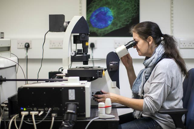A Scientist looks at cells through a fluorescent microscope at the laboratories at Cancer Research UK Cambridge Institute