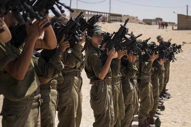 The ranges are offering tourists the chance to behave like IDF fighters (pictured)
