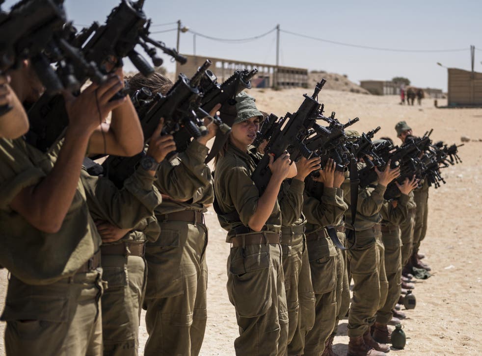 The ranges are offering tourists the chance to behave like IDF fighters (pictured)