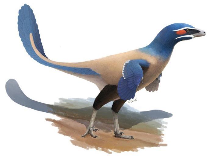 An artist's impression of Currie's Alberta hunter, a dinosaur related to the velociraptor